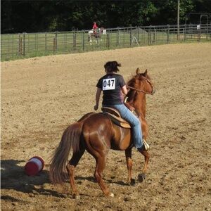 Meet your Posher, Cindi